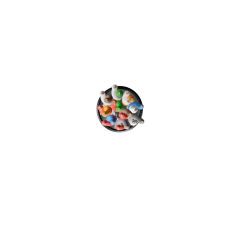 TSFXCW112810PEBLKU