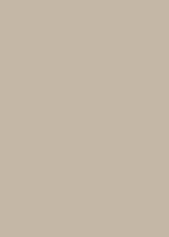 Taupe Grey Plain Modern Swatch Size