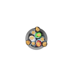 TSFXISP318LSZHGRY